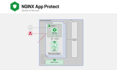 NGINX App Protect Denial of Service